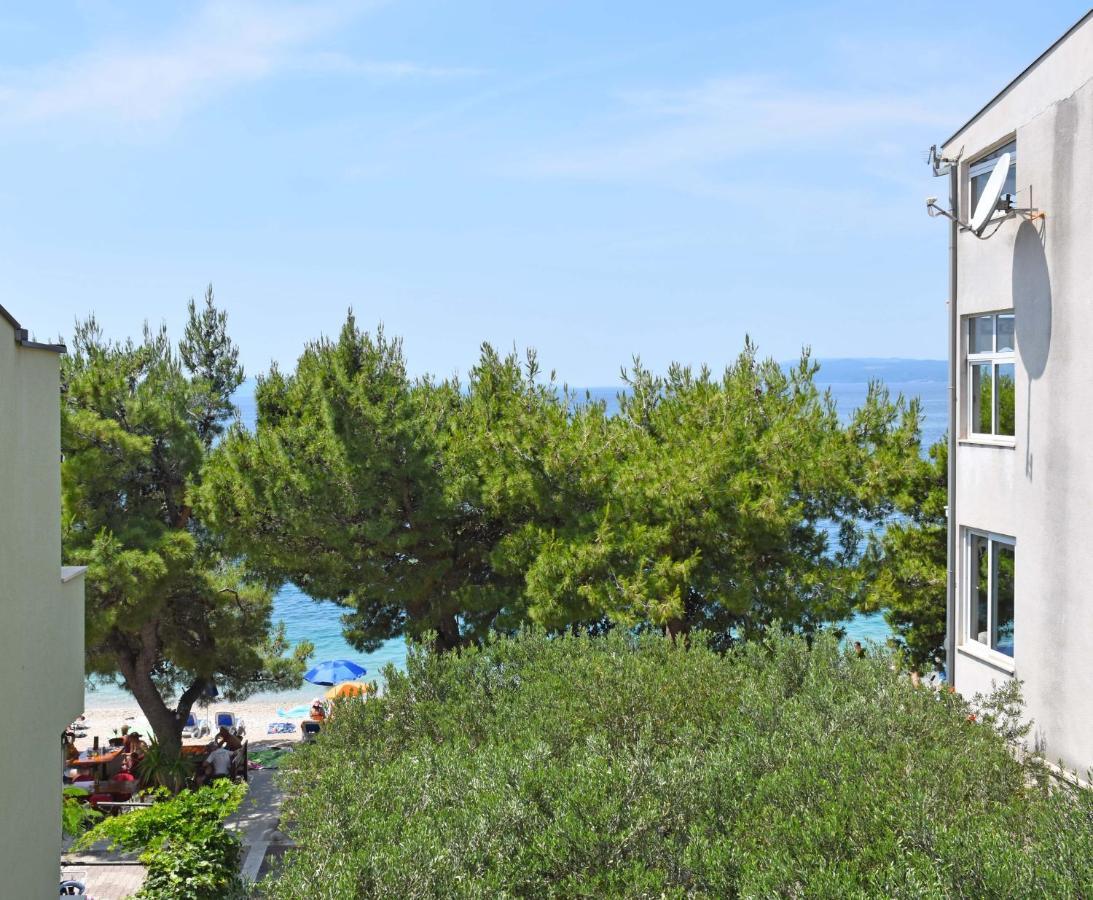 Apartments Despot Tučepi Dış mekan fotoğraf